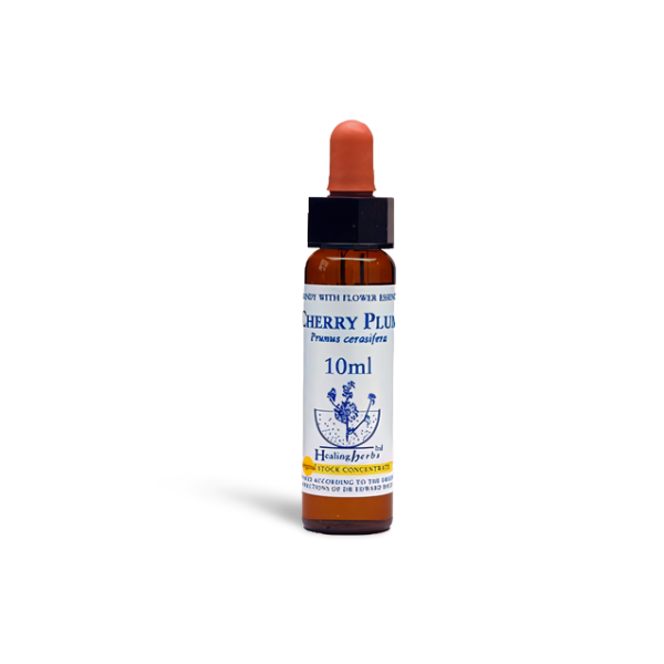 Cherry Plum