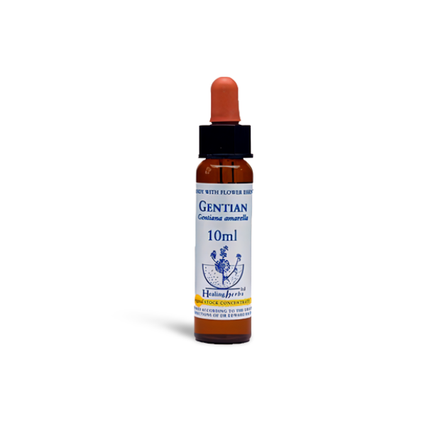 Gentian