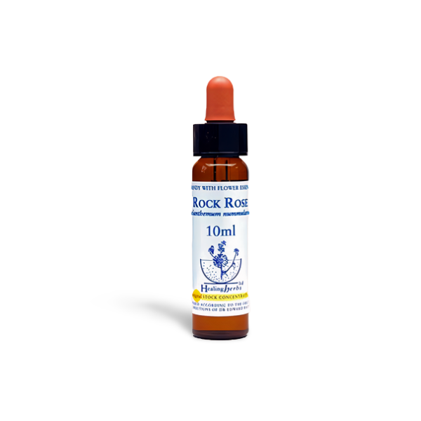 Rock Rose