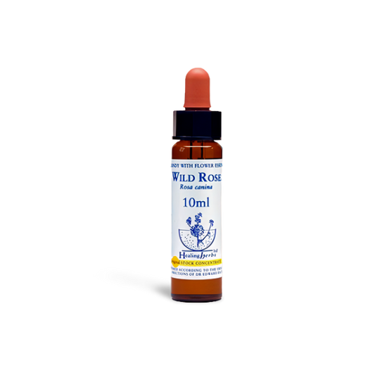 Wild Rose