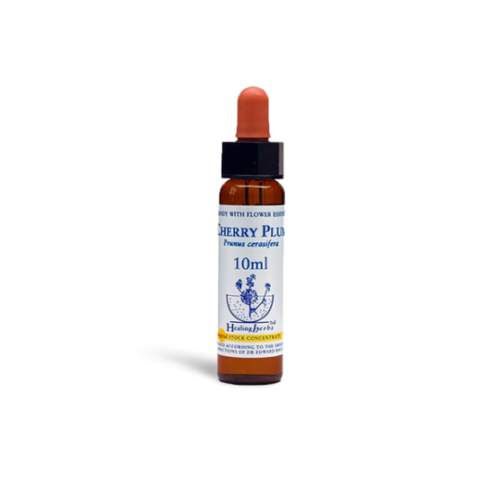 Cherry Plum
