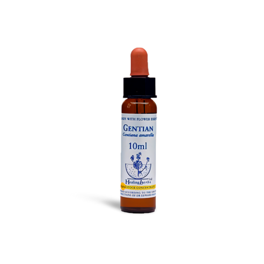 Gentian