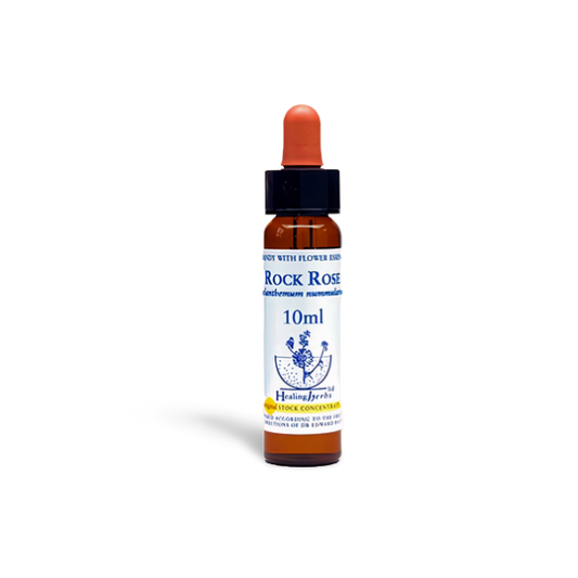 Rock Rose