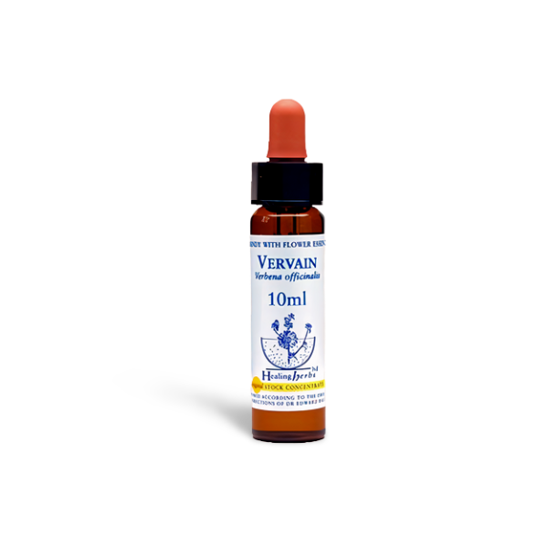 Vervain