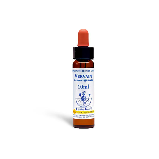 Vervain